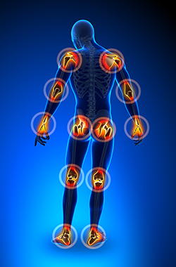 Physical Therapy Great Neck NY